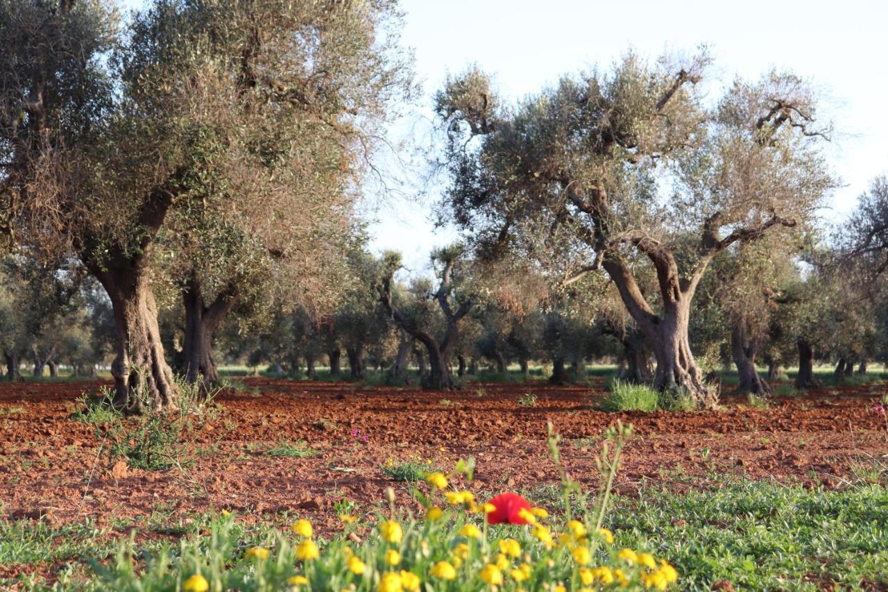 B&B Passione Del Sud Lecce Dış mekan fotoğraf